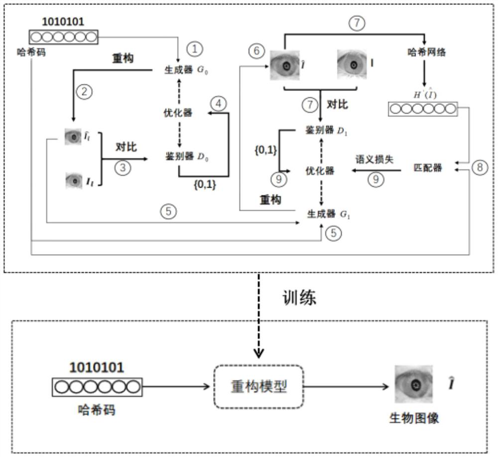 Reconstruction attack method for biological template protection based on generative adversarial network