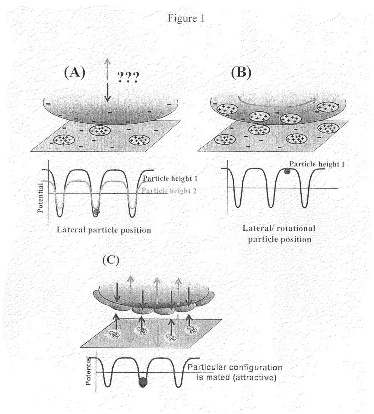 Nanopatterned surfaces and related methods for selective adhesion, sensing and separation