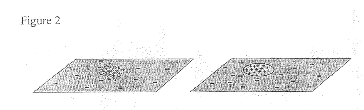 Nanopatterned surfaces and related methods for selective adhesion, sensing and separation