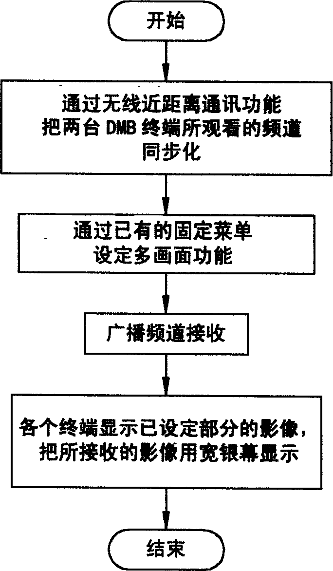 Image display method for special terminal of digital multimedia broadcasting