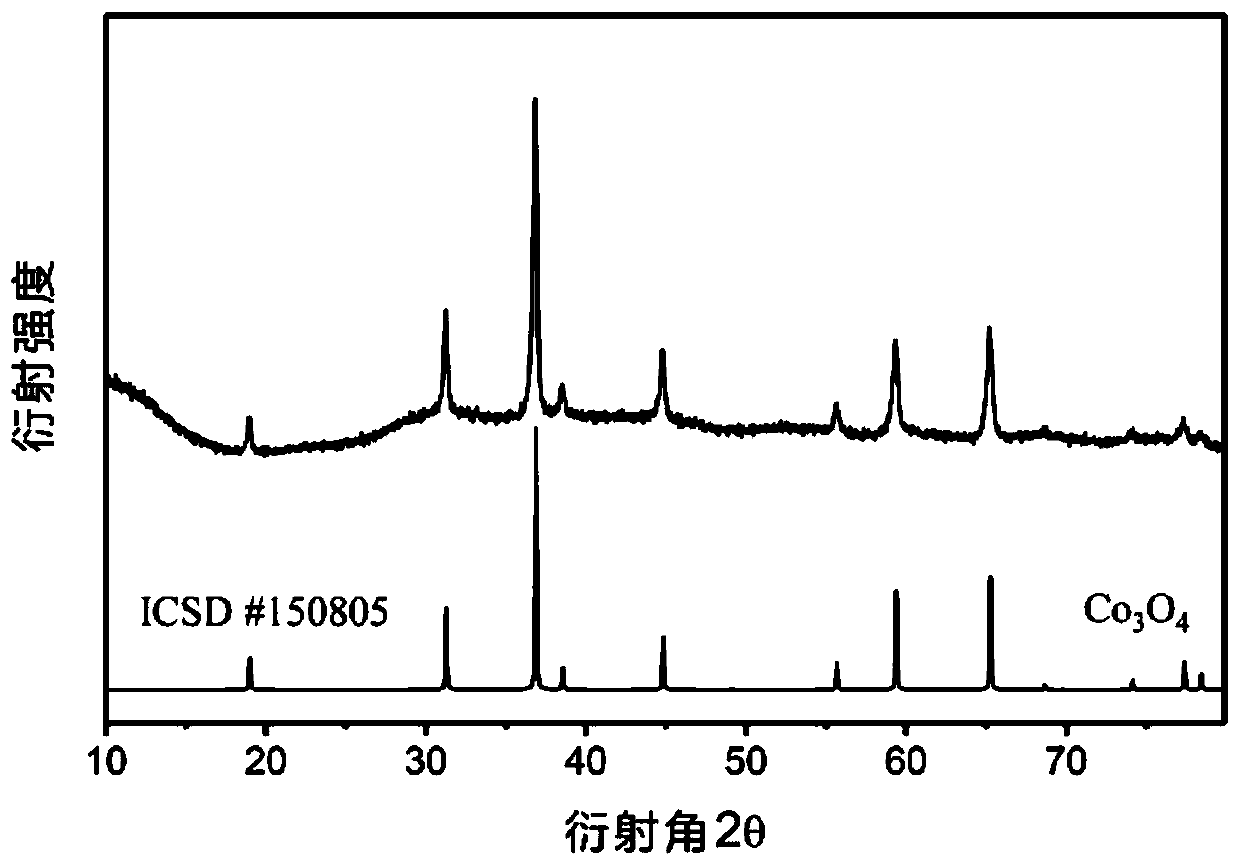 Transition metal cobalt single atom/cluster embedded nitrogen-doped carbon skeleton material, and preparation method and application thereof