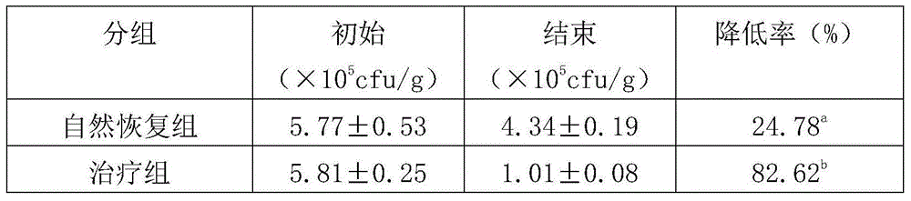 Watermelon juice fermented beverage and preparation method thereof