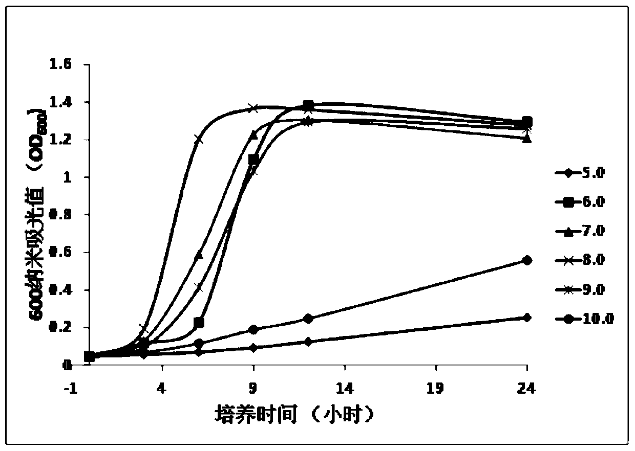 A kind of heterotrophic nitrifying aerobic denitrifying Acinetobacter and its application