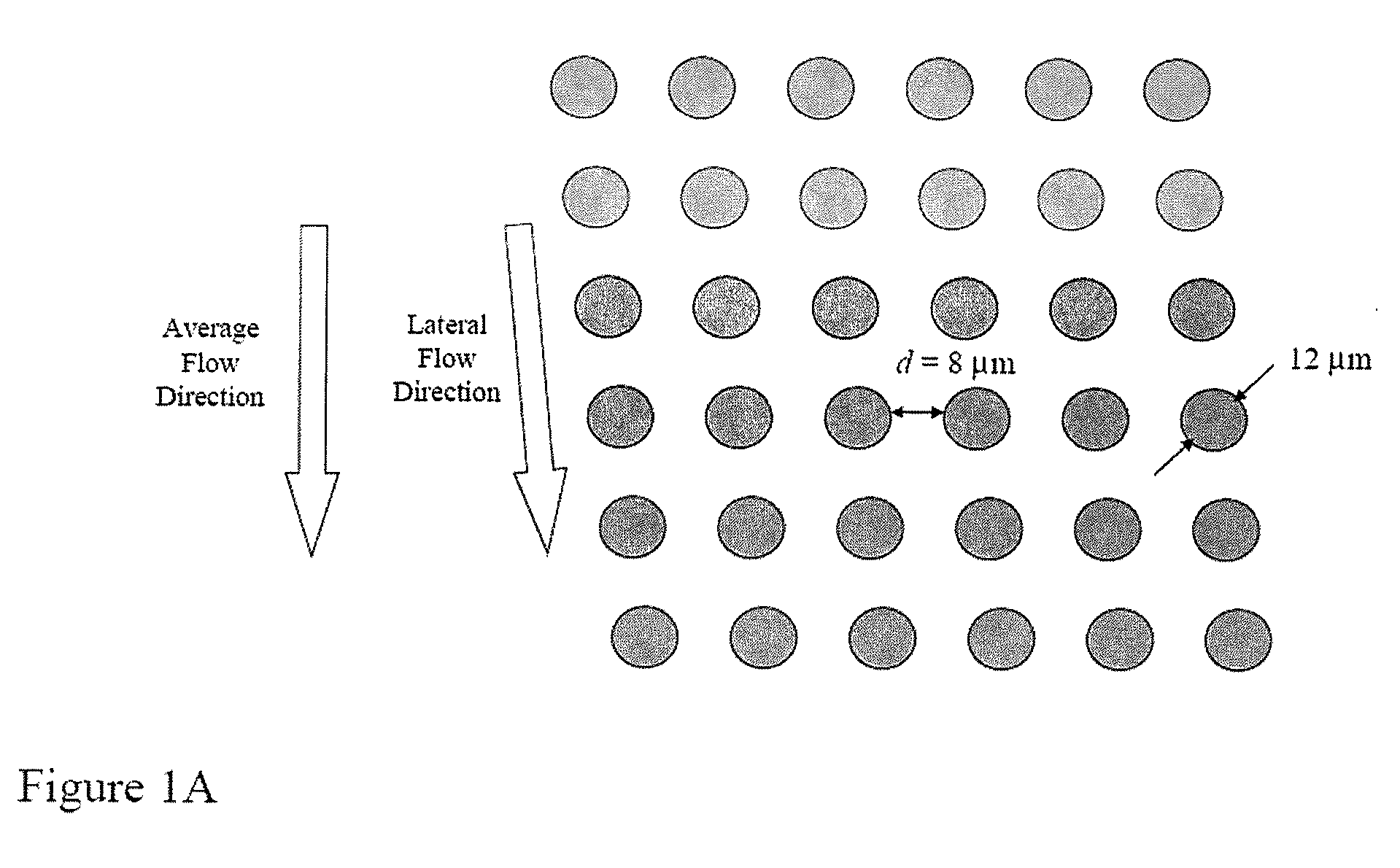 Rare cell analysis using sample splitting and DNA tags