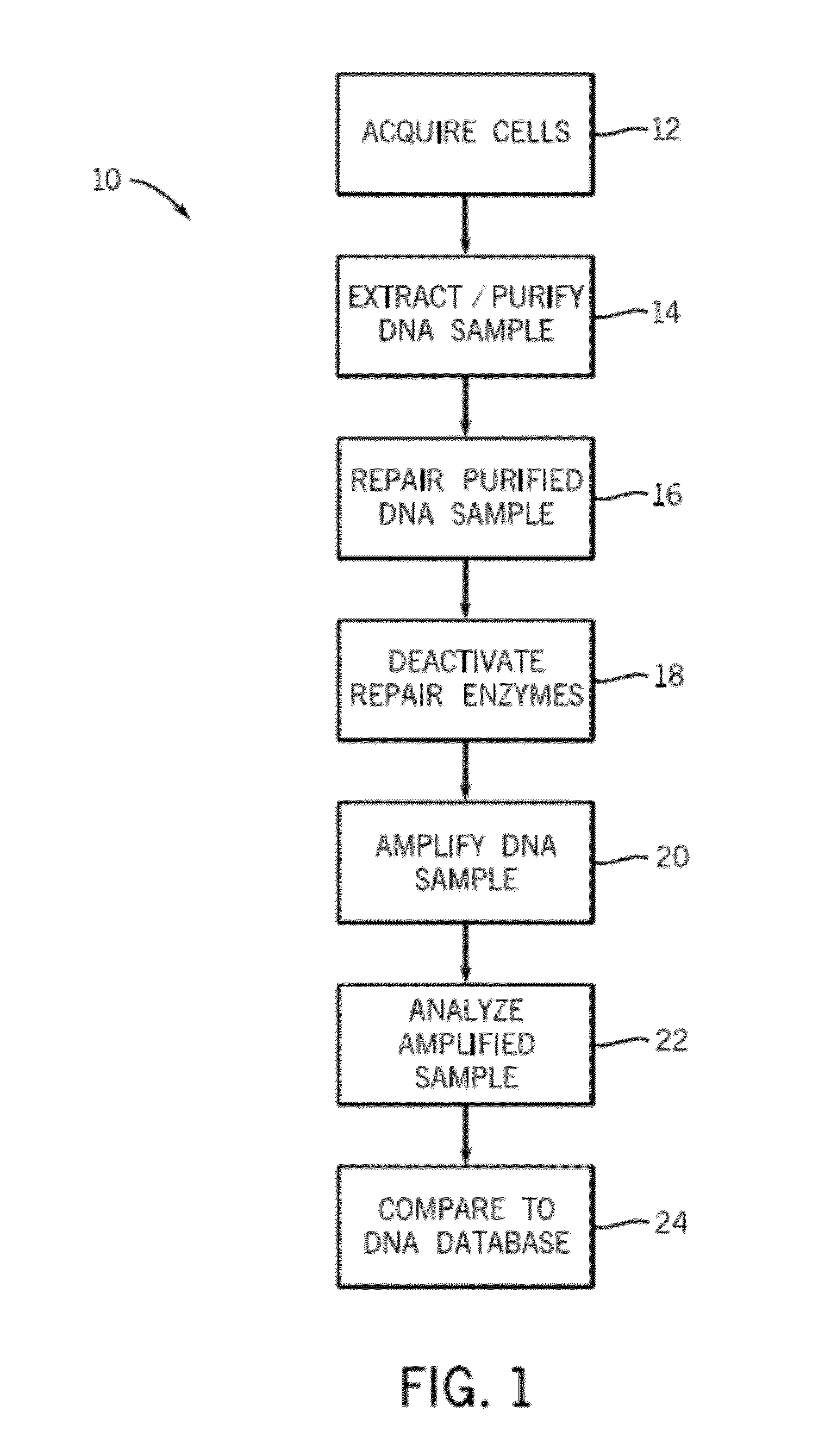 Method and kits for repairing nucleic acid sequences