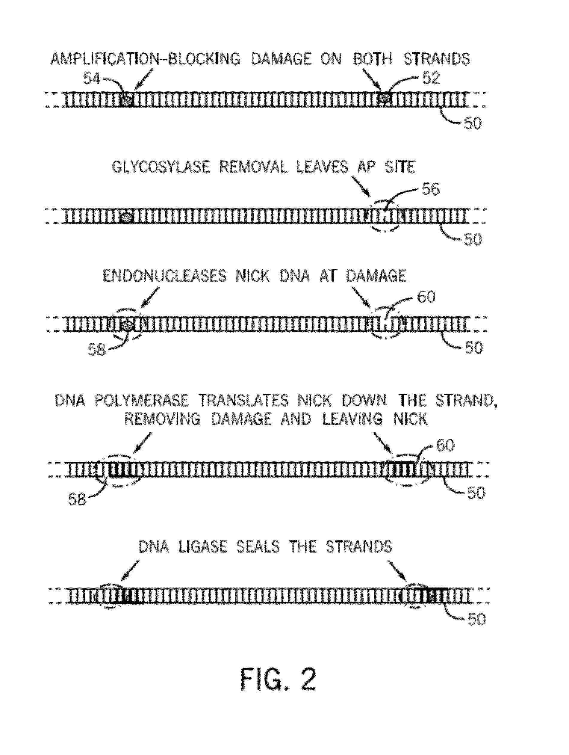 Method and kits for repairing nucleic acid sequences