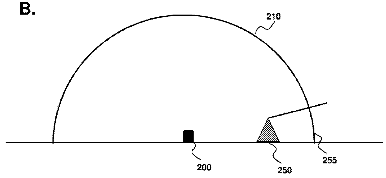 Avian detection systems and methods