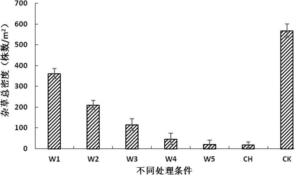 Rice field grass control method