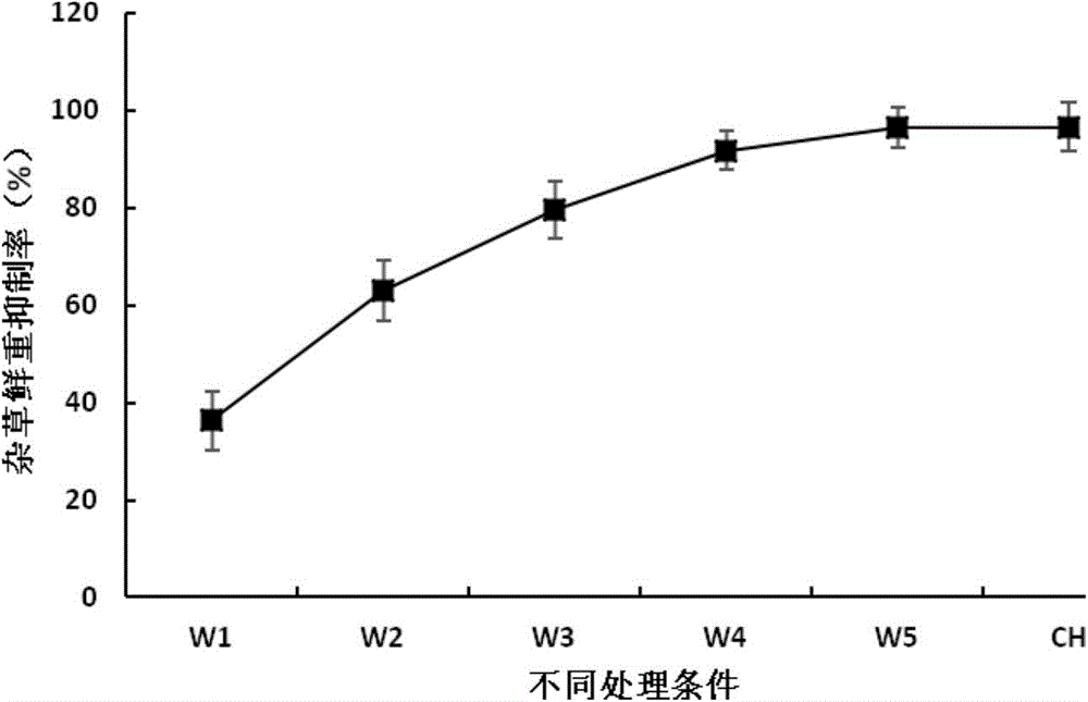 Rice field grass control method