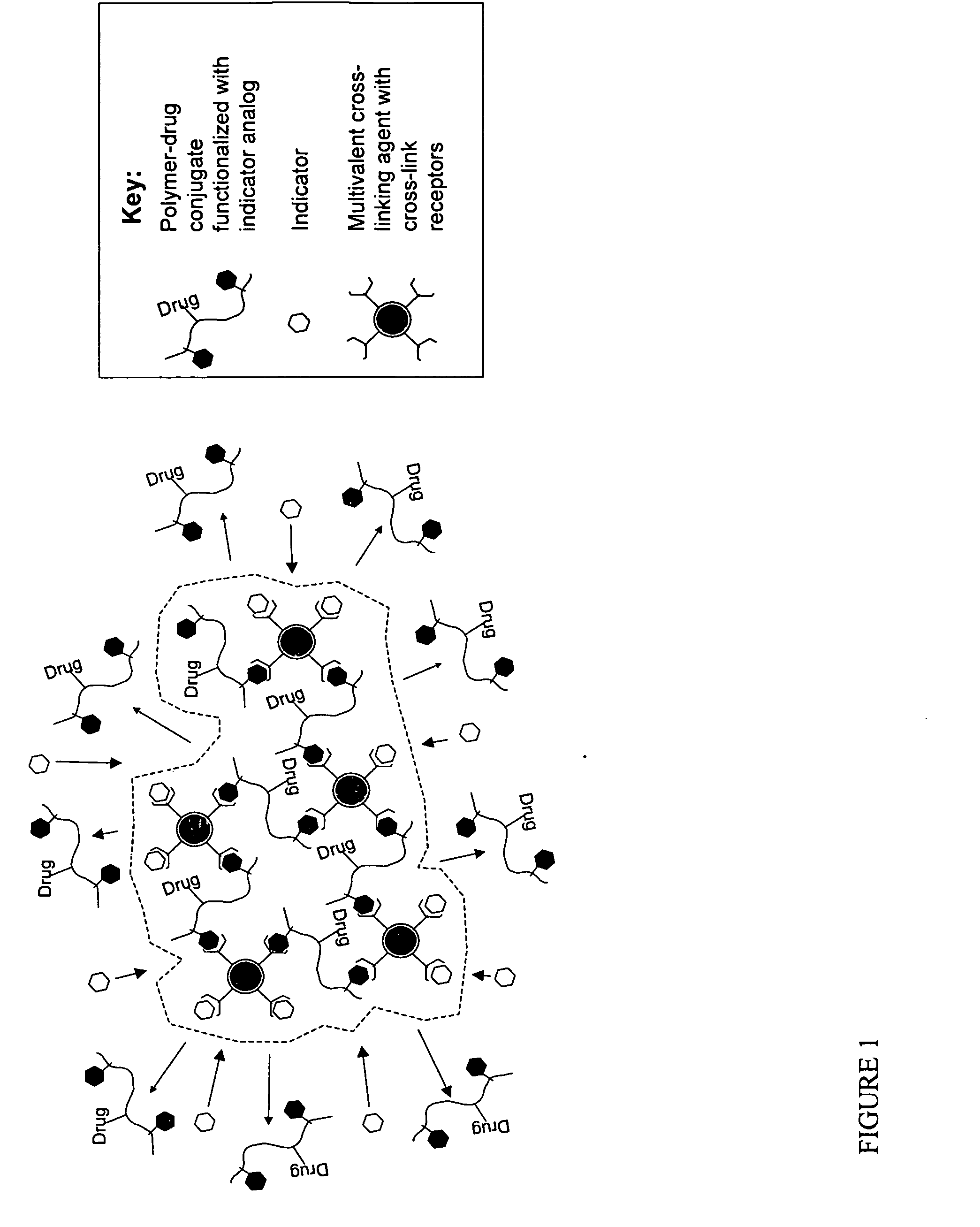 Polymer-drug conjugates