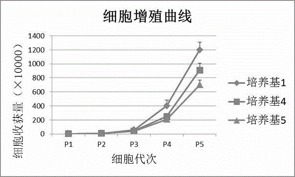 Serum-free human amniotic mesenchymal stem cell culture medium and preparation method thereof