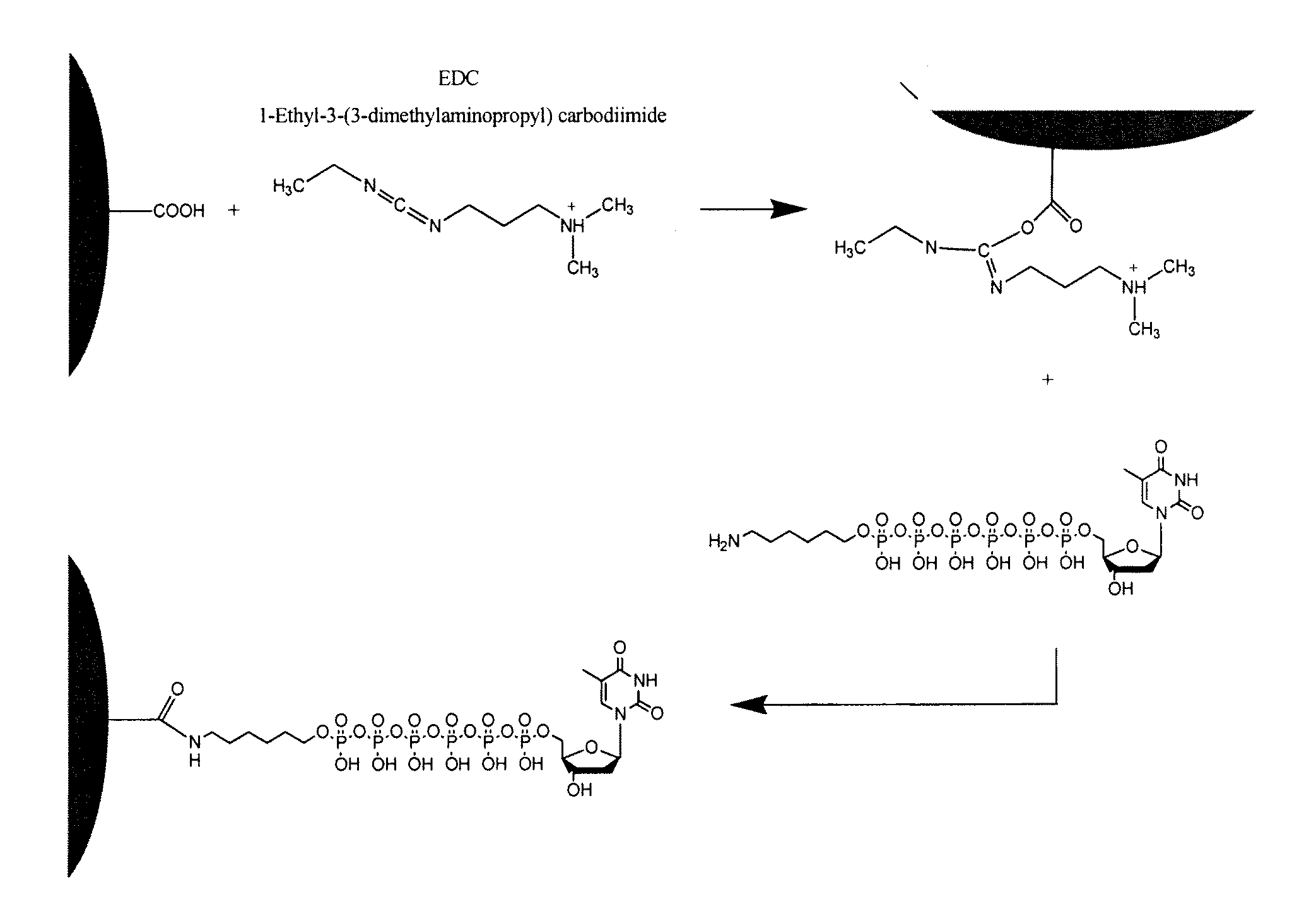 Phospholink nucleotides for sequencing applications