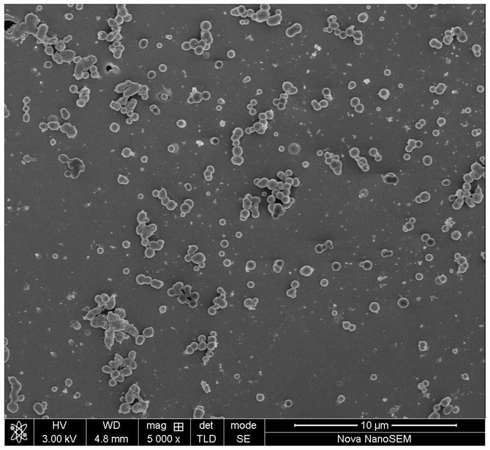 Polyvinylidene fluoride mixed matrix membrane with photocatalytic performance as well as preparation and application thereof