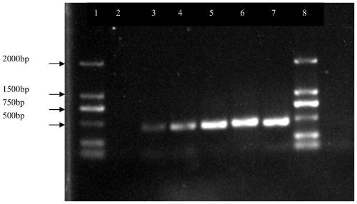 Intelligent quality detection method and system in logistics process of cold-chain meat and meat products