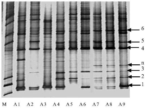 Intelligent quality detection method and system in logistics process of cold-chain meat and meat products