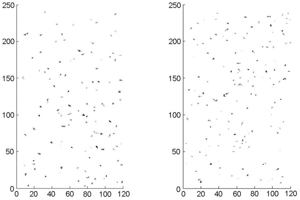 Method for detecting lateral limitation area of living plant cytomembrane protein