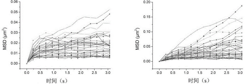 Method for detecting lateral limitation area of living plant cytomembrane protein