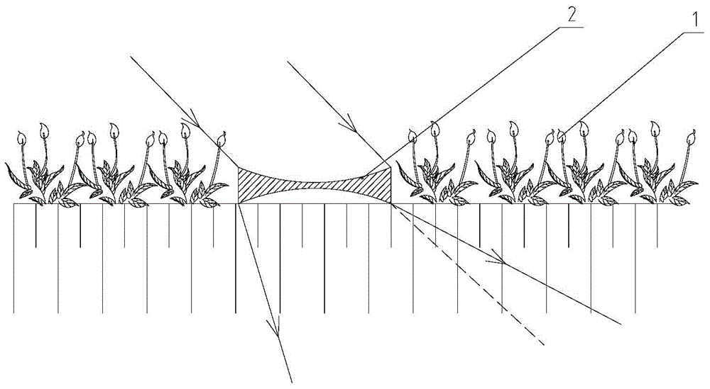 Underwater illumination regulating and control device