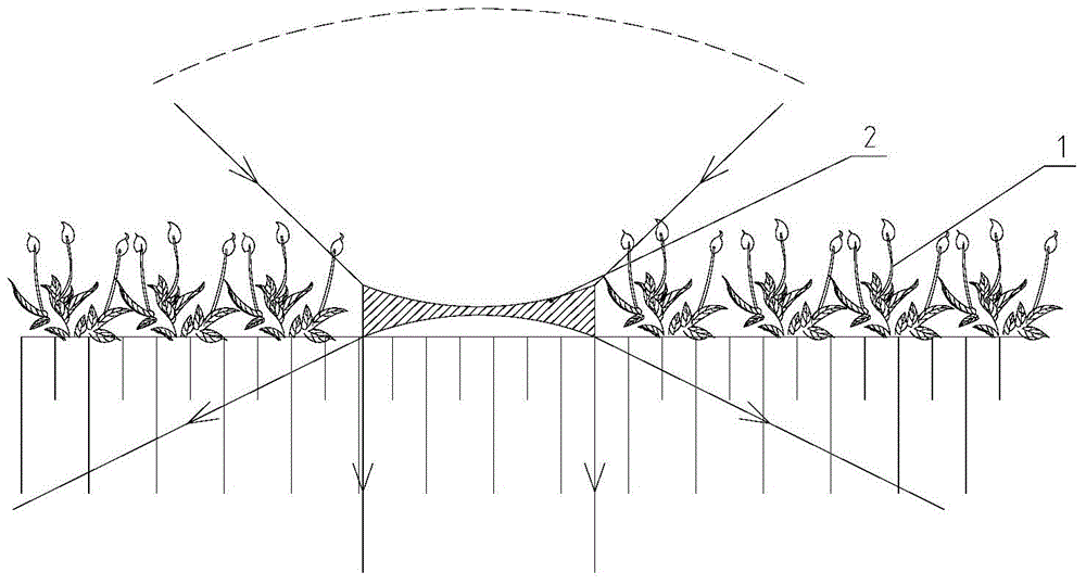 Underwater illumination regulating and control device