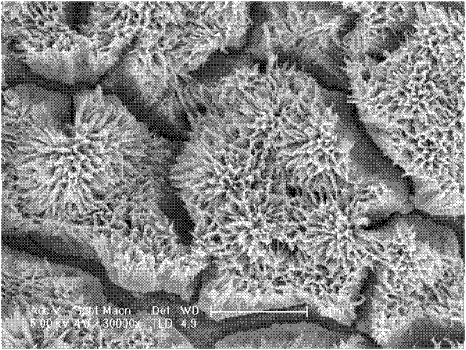 Preparation method of carbon and nitrogen modified nano-titanium dioxide thin film with visible light activity