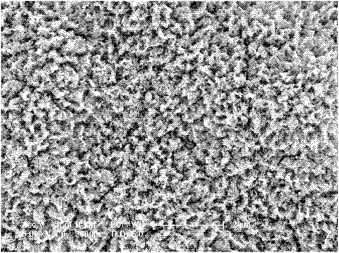 Preparation method of carbon and nitrogen modified nano-titanium dioxide thin film with visible light activity