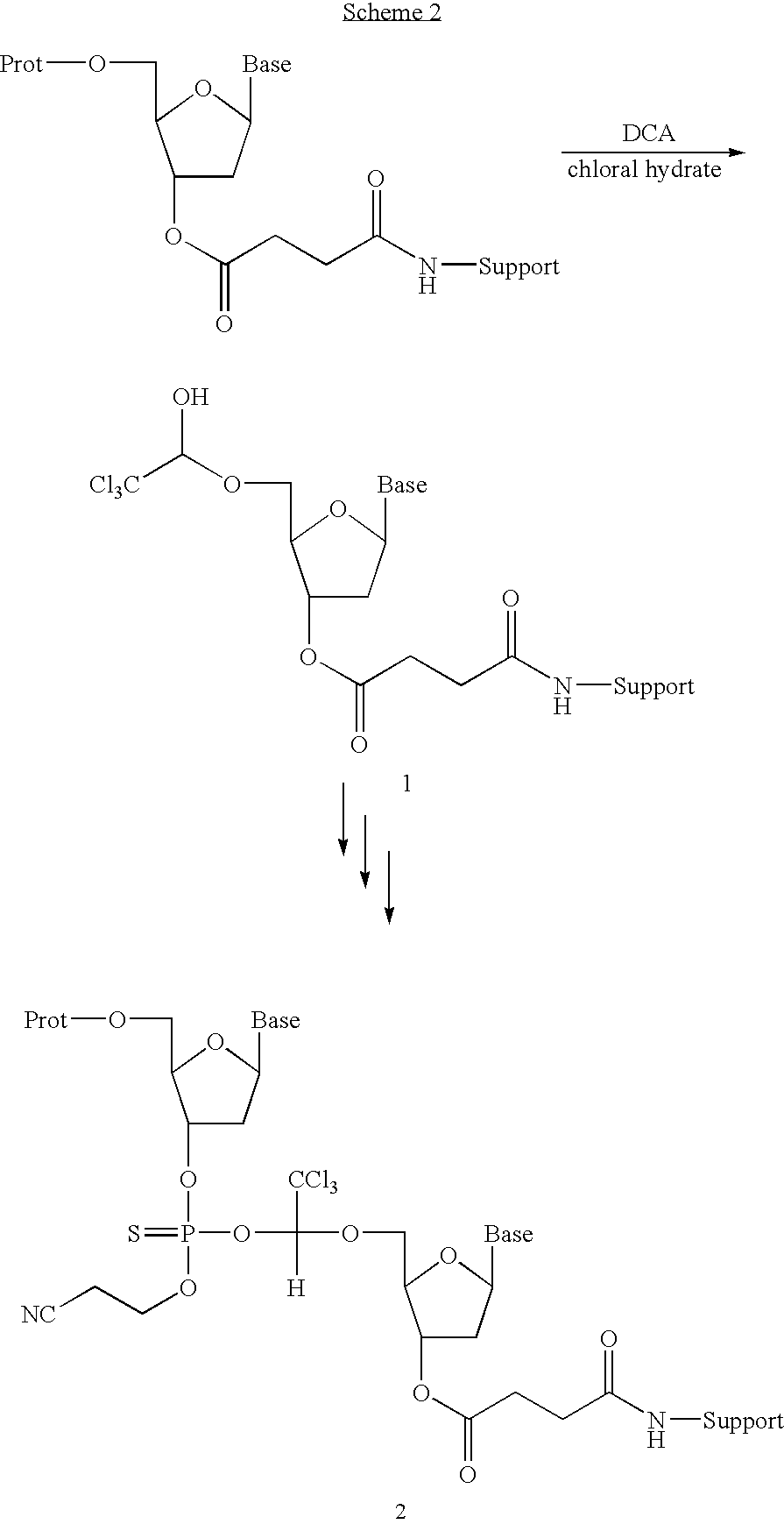 Methods for detection of chloral hydrate in dichloroacetic acid