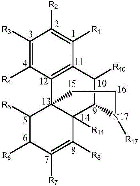 PEG-modified compounds of sinomenine and its derivatives and preparation method thereof