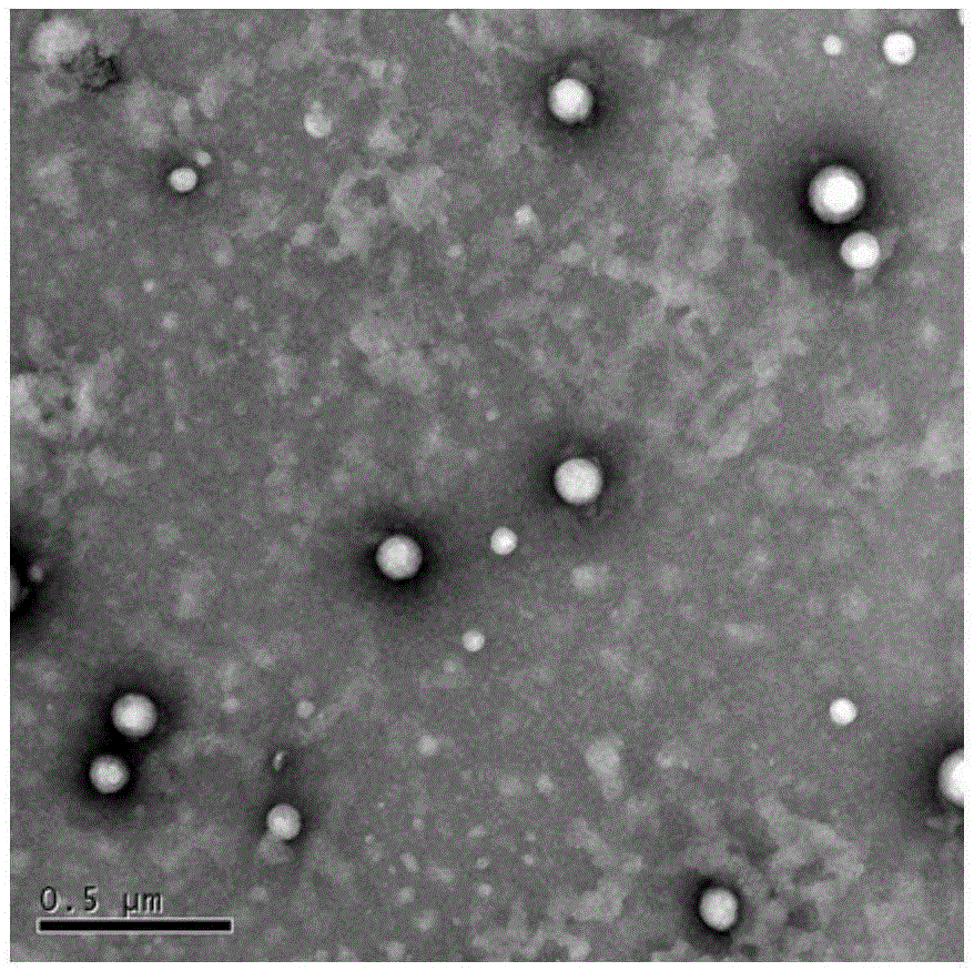 Nanometer photo-thermal therapy reagent and preparing method thereof