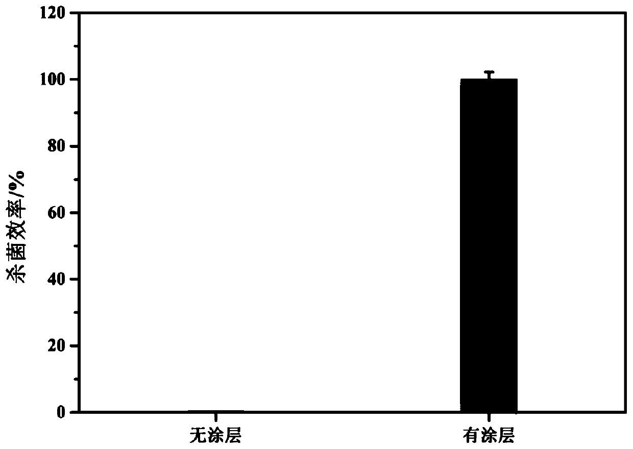 Ureteral catheter and preparation method thereof