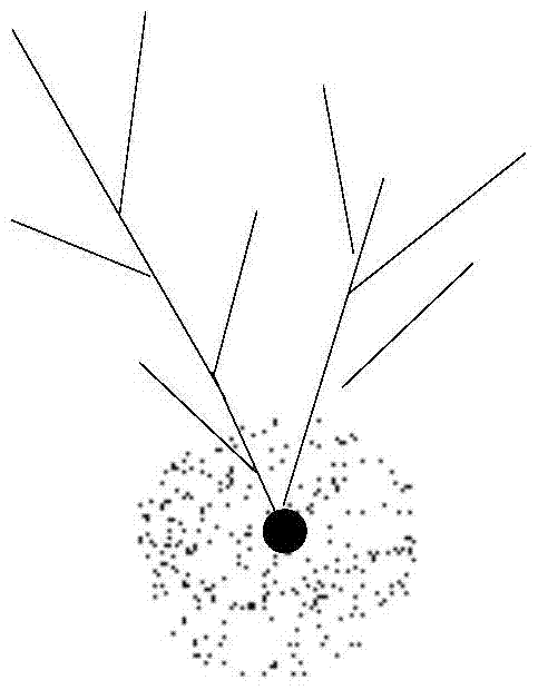 A kind of cavitation cloud microbubble preparation device and method thereof