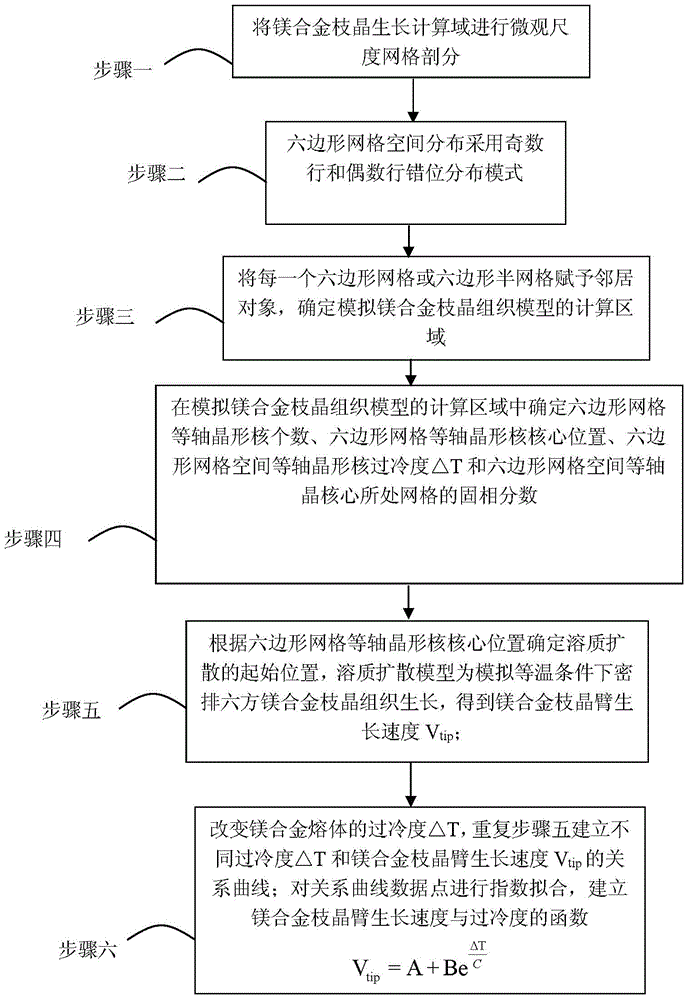 Numerical modeling method for magnesium alloy dendritic structure