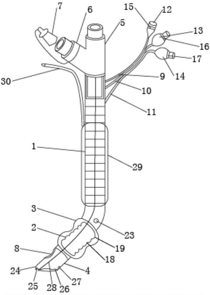 Multifunctional double-bag trachea cannula