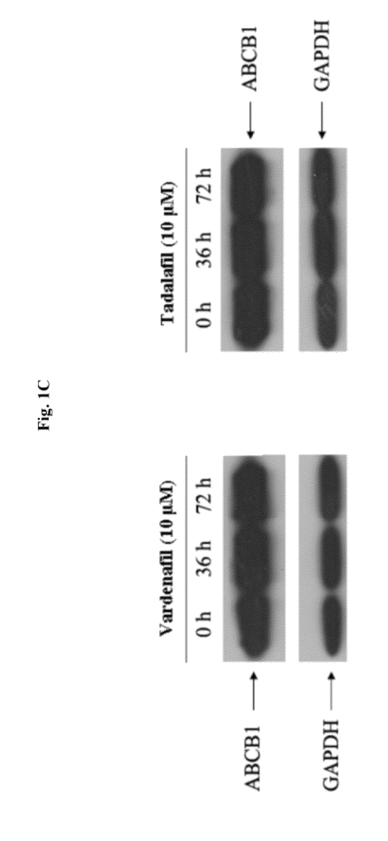 Use of phosphodiesterase inhibitors for treating multidrug resistance