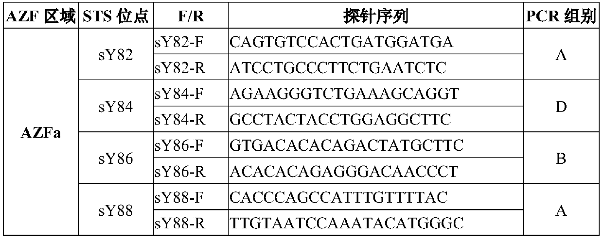 Y-chromosome microdeletion detection primer group and kit