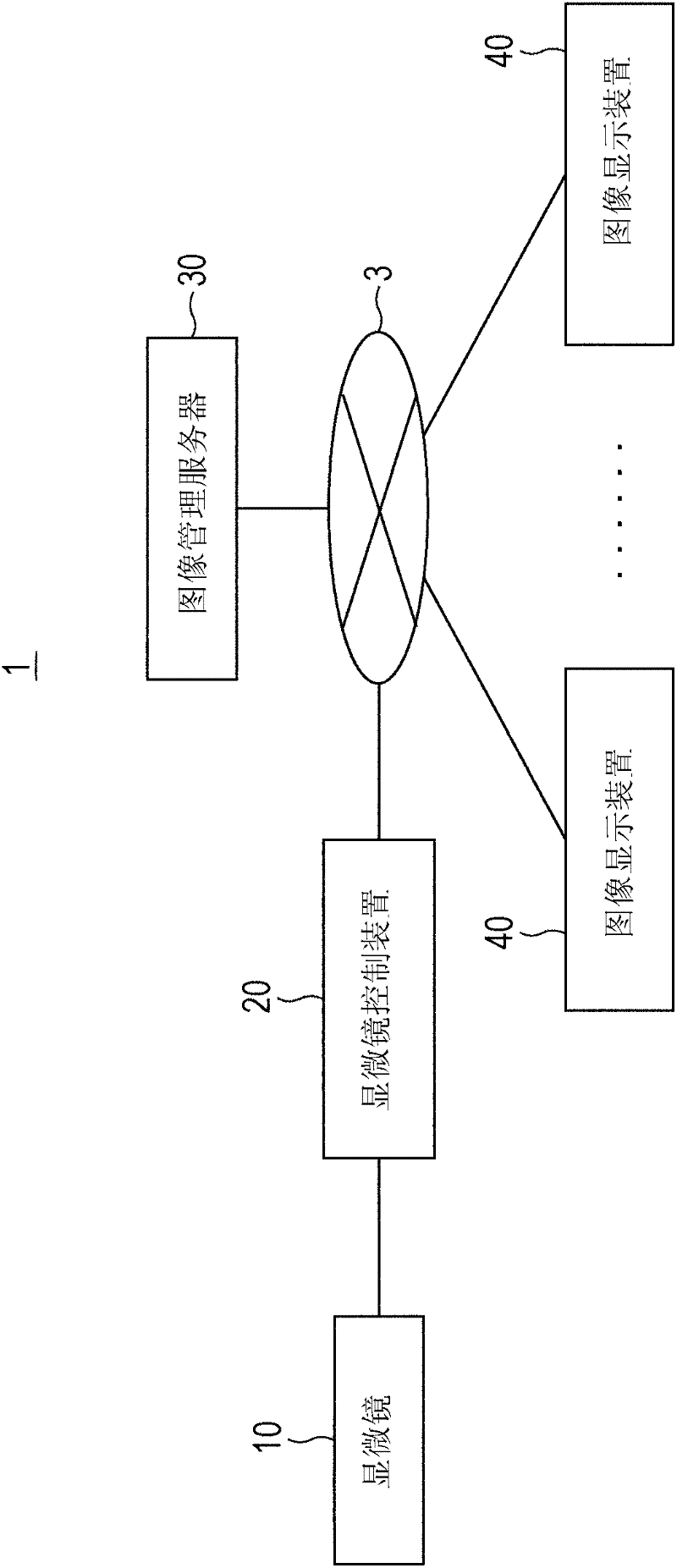 Information processing system, microscope control device and method of operating microscope control device