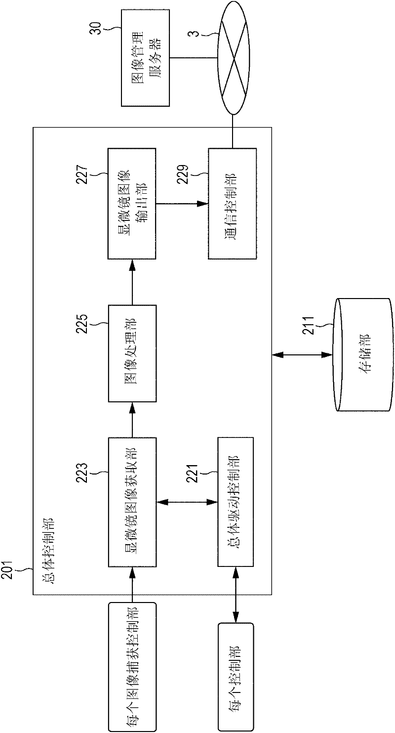 Information processing system, microscope control device and method of operating microscope control device