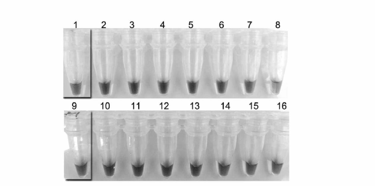 Detection target sequence A3apro of phytophthora sojae, and specific LAMP (loop-mediated isothermal amplification) primer composition and application thereof