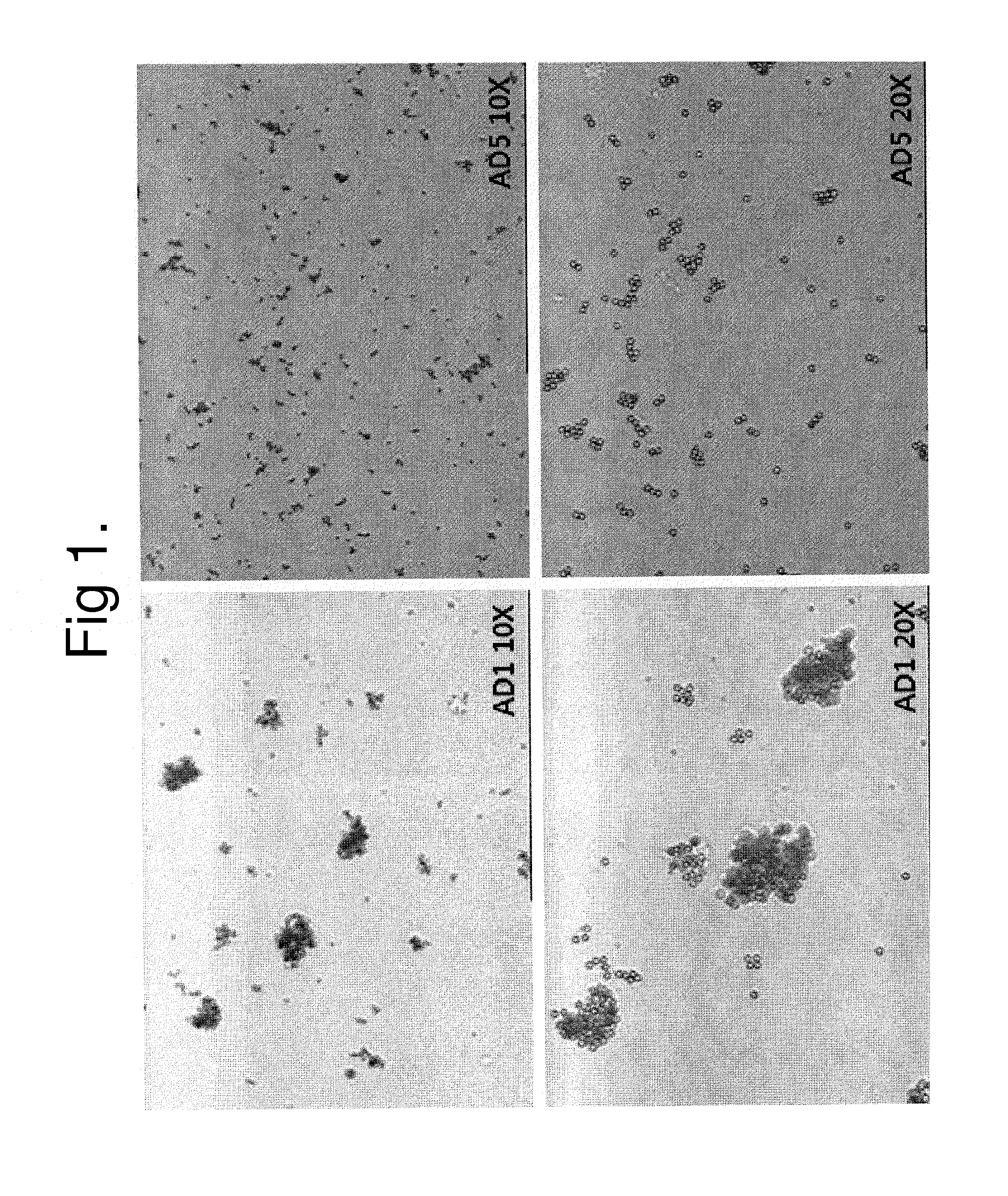 Multimer type discrimination and detection method for multimer-forming polypeptide