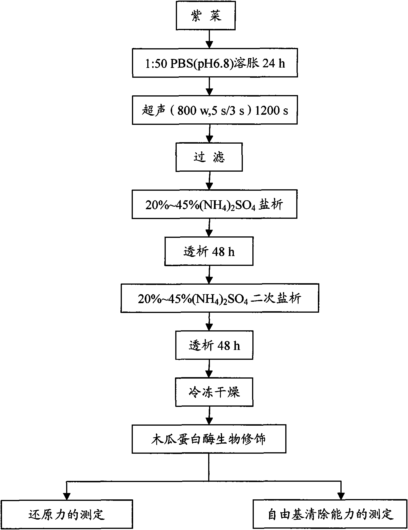 Bio-modification preparation method for improving activity of laver phycoerythrin