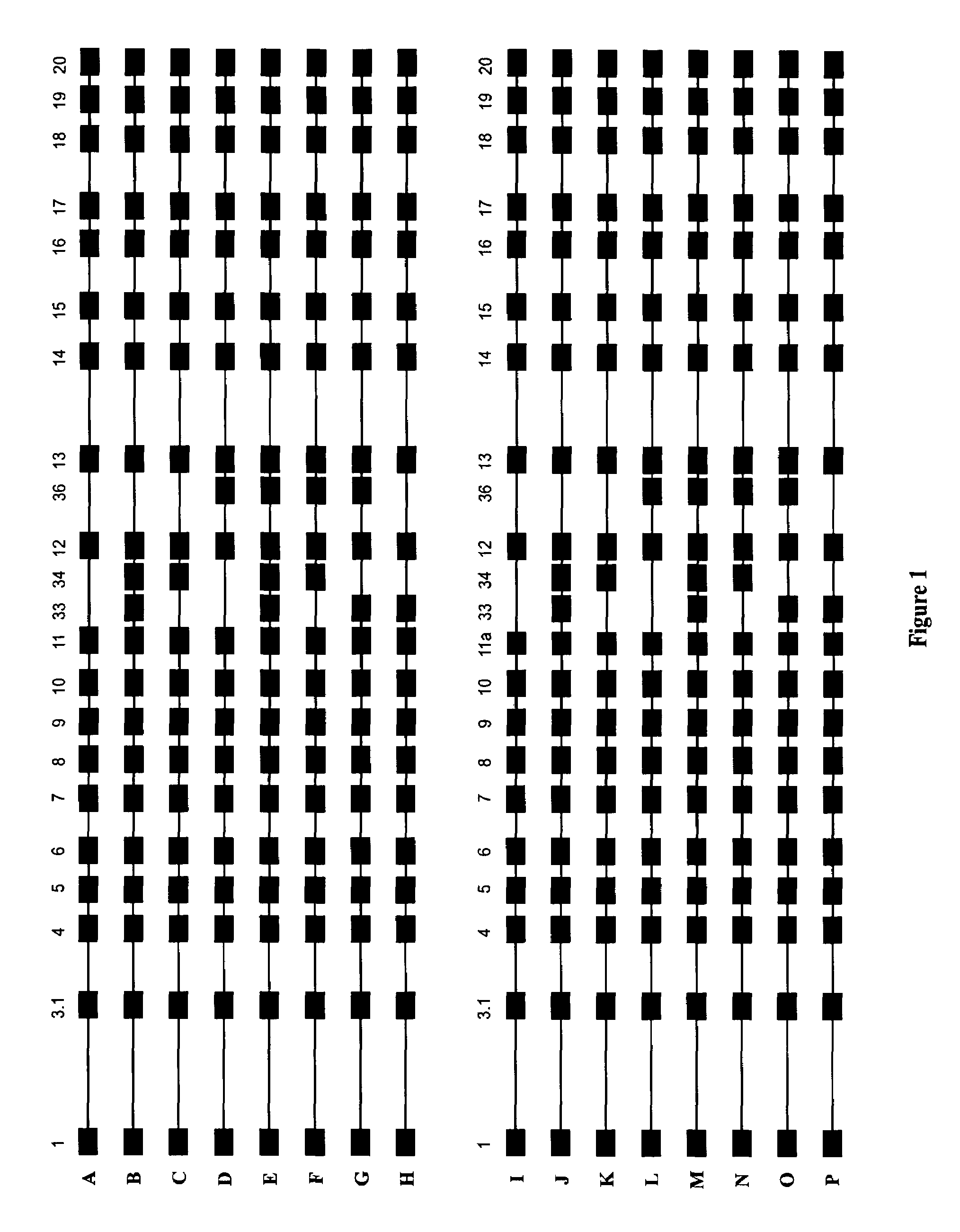 Obesity gene and use thereof