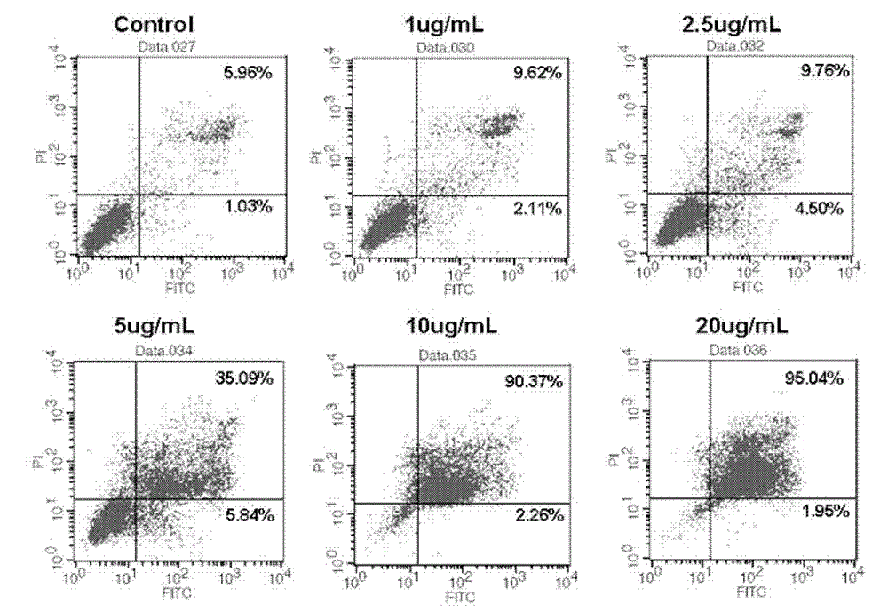 Application of active ingredients of juncus effuses in preparation of medicaments for resisting tumors or inhibiting angiogenesis, health-care food or cosmetics