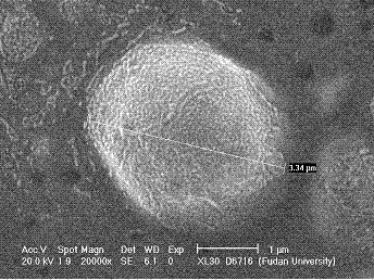 Method for controlling growth of pipeline biological film by utilizing bromine chlorine hydantoin liposome