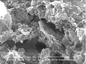 Method for controlling growth of pipeline biological film by utilizing bromine chlorine hydantoin liposome