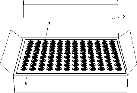 Human BRCA1/ BRCA2 gene mutation detection kit