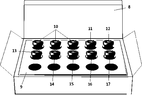 Human BRCA1/ BRCA2 gene mutation detection kit