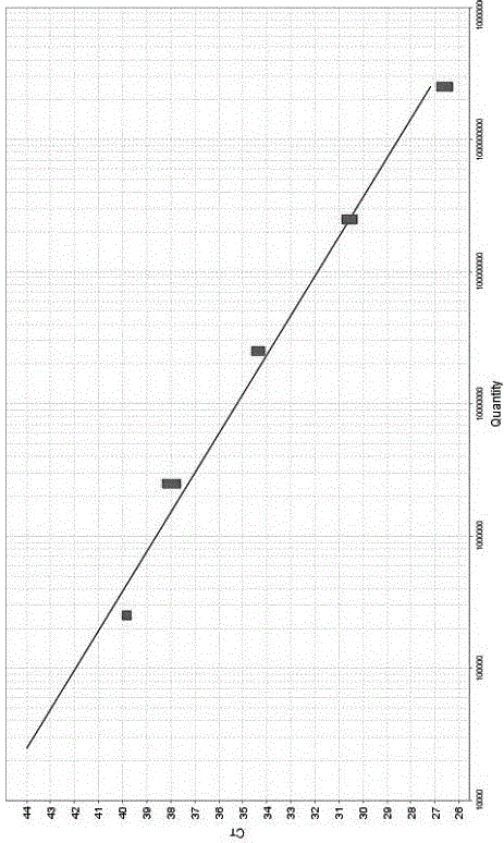 Detection and quality control kit for hepatitis A viruses and noroviruses in water sample, as well as detecting method