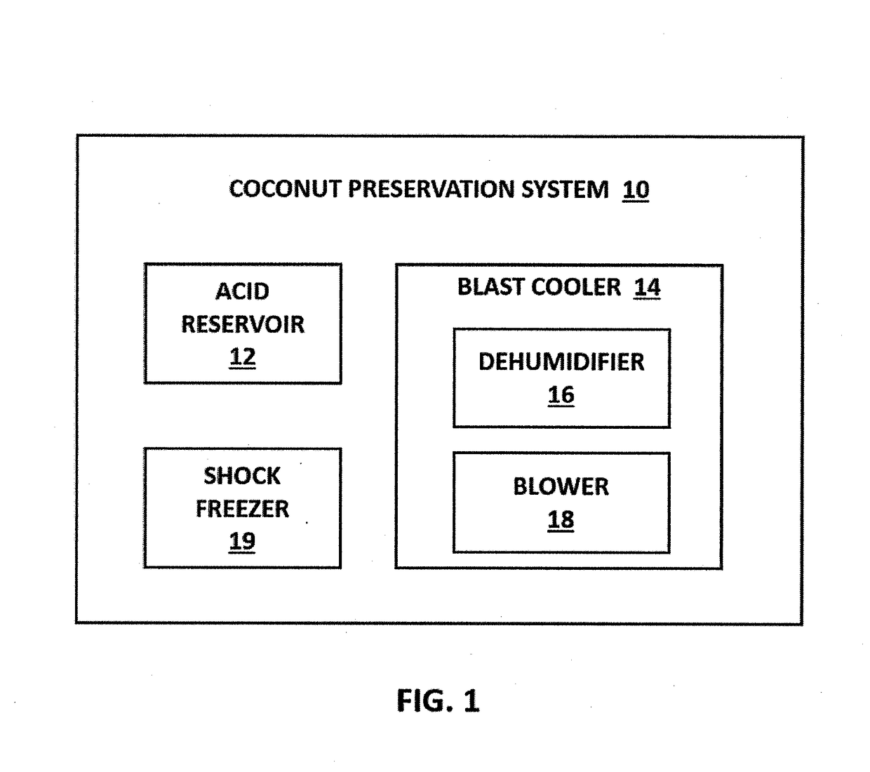 System and method for the preservation of coconut products