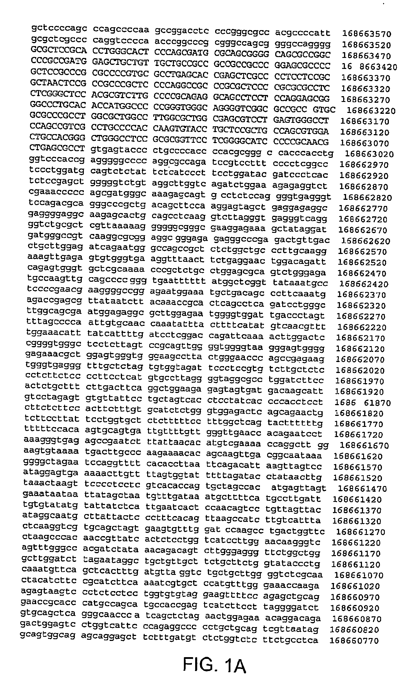 Human type II diabetes gene-slit-3 located on chromosome 5q35