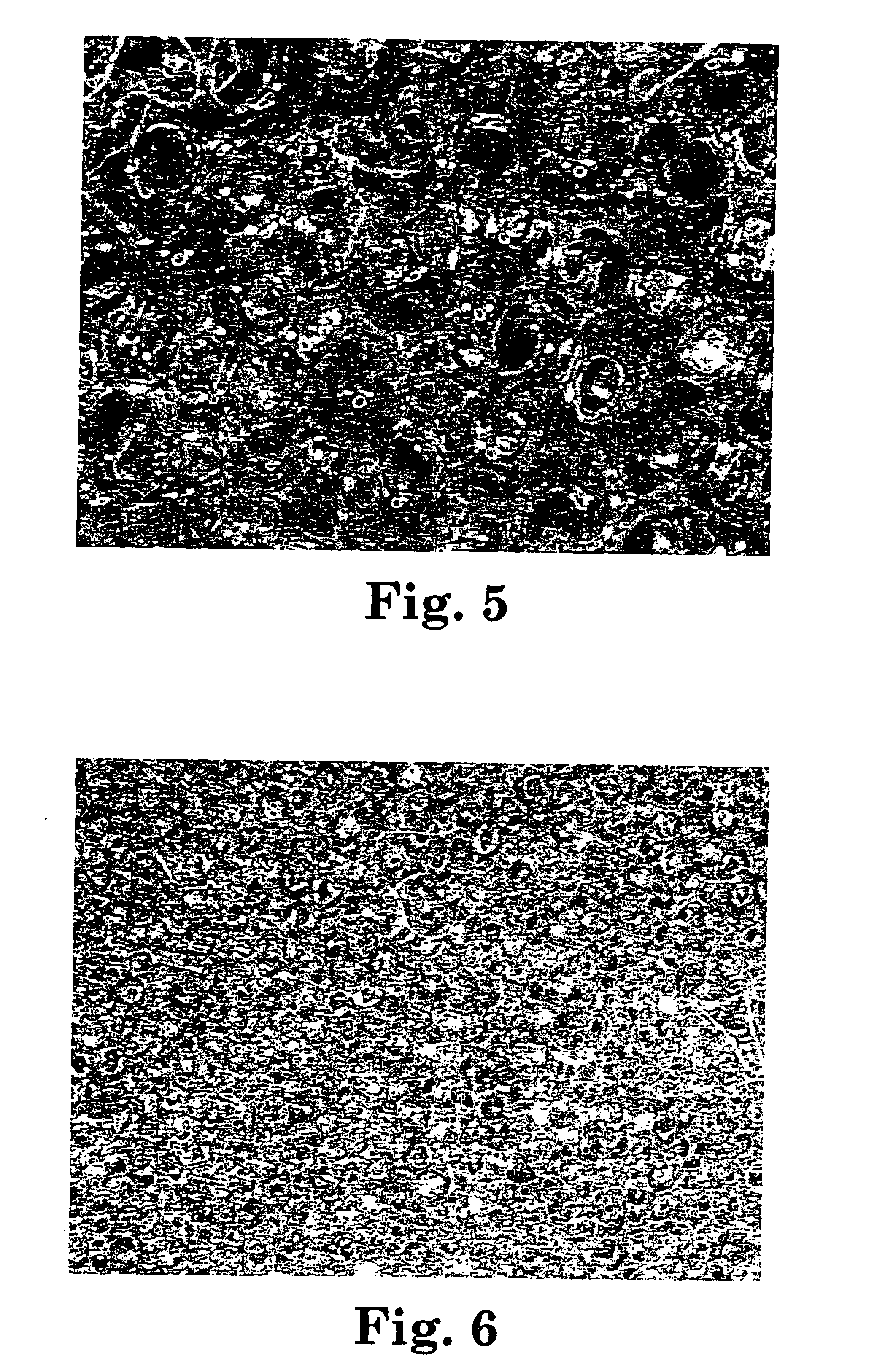 Flexible abrasive product and method of making and using the same