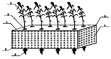 Multifunctional purified ecological floating wetland and its manufacturing method